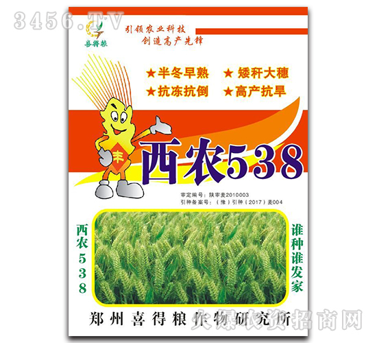 西农538-小麦种子-喜得粮